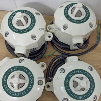 ĐẦU DÒ LNG PHÒNG NỔ EW EX IIB 100